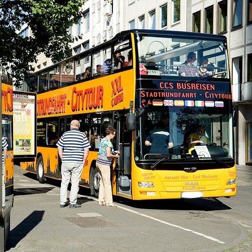 Köln şehirindeki otobüs sistemi yaklaşık 76 hattan oluşmaktadır. 