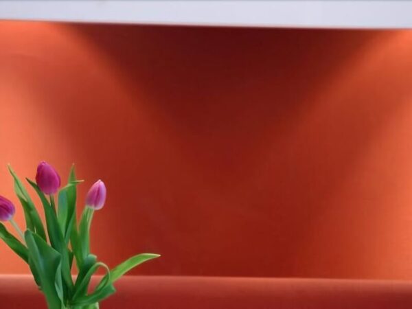 creatif elephant hotel munich | münih almanya | otel bilgileri – dixifuar - görsel 3