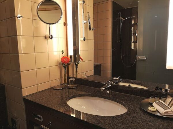 pullman stutgart fontana | stutgart almanya | otel bilgileri | dixifuar - görsel 4