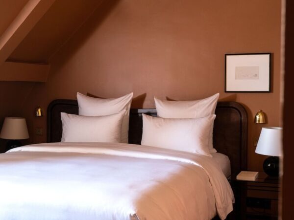 hotel rochechouart | otel bilgileri - dixifuar - görsel 4