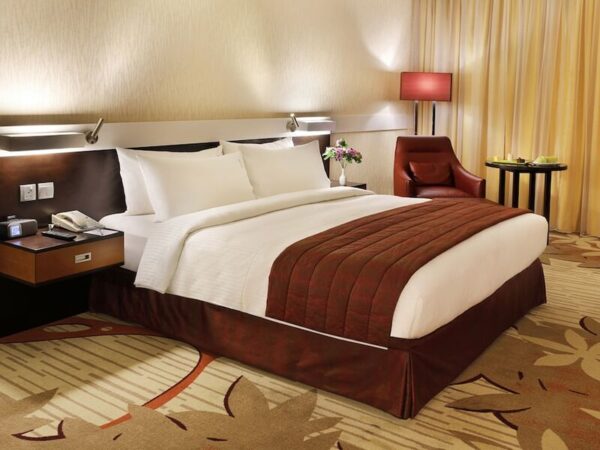 excelsior hotel downtown dubai - görsel 3