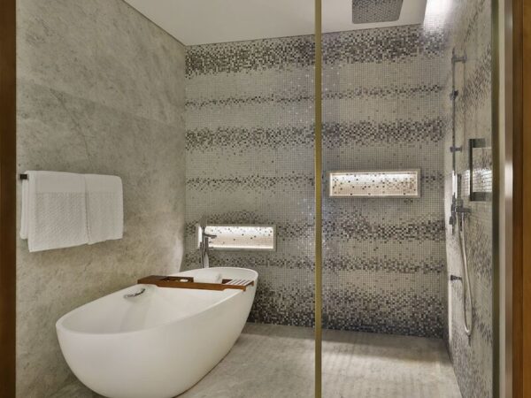 the st regis dubai downtown | otel bilgileri - dixifuar - görsel 4