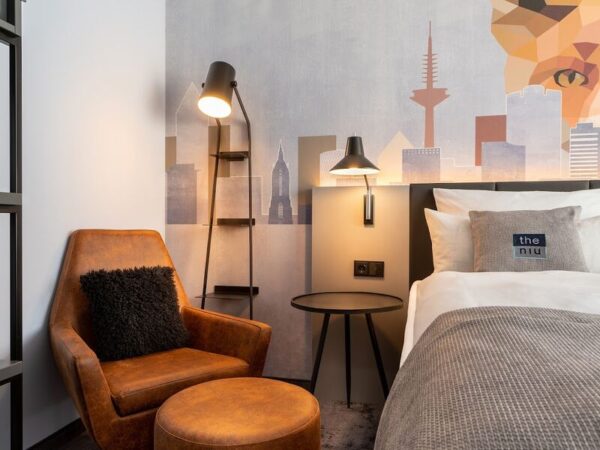 the niu charly- dixifuar - görsel 3